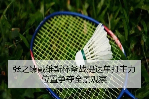 张之臻戴维斯杯备战提速单打主力位置争夺全景观察